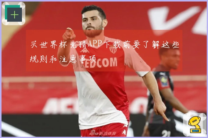 买世界杯竞猜APP下载前要了解这些规则和注意事项