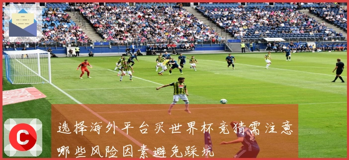 选择海外平台买世界杯竞猜需注意哪些风险因素避免踩坑