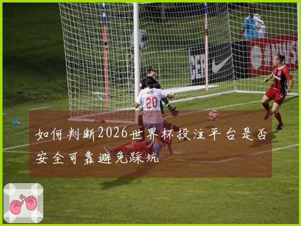 如何判断2026世界杯投注平台是否安全可靠避免踩坑