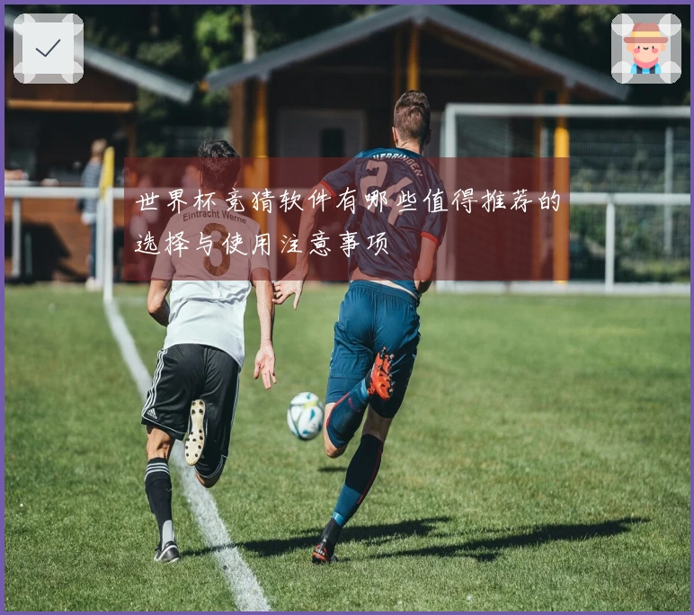 世界杯竞猜软件有哪些值得推荐的选择与使用注意事项