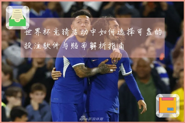 世界杯竞猜活动中如何选择可靠的投注软件与赔率解析指南