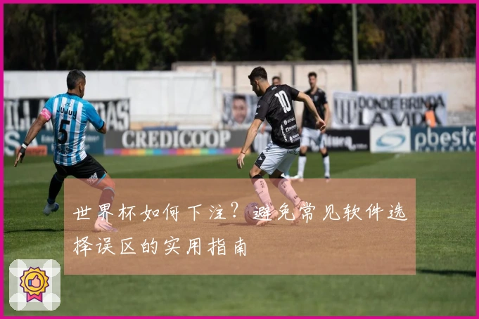 世界杯如何下注？避免常见软件选择误区的实用指南