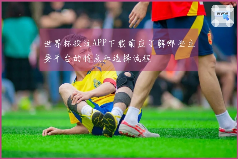 世界杯投注APP下载前应了解哪些主要平台的特点和选择流程