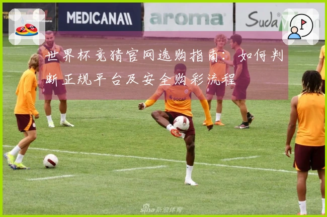 世界杯竞猜官网选购指南：如何判断正规平台及安全购彩流程