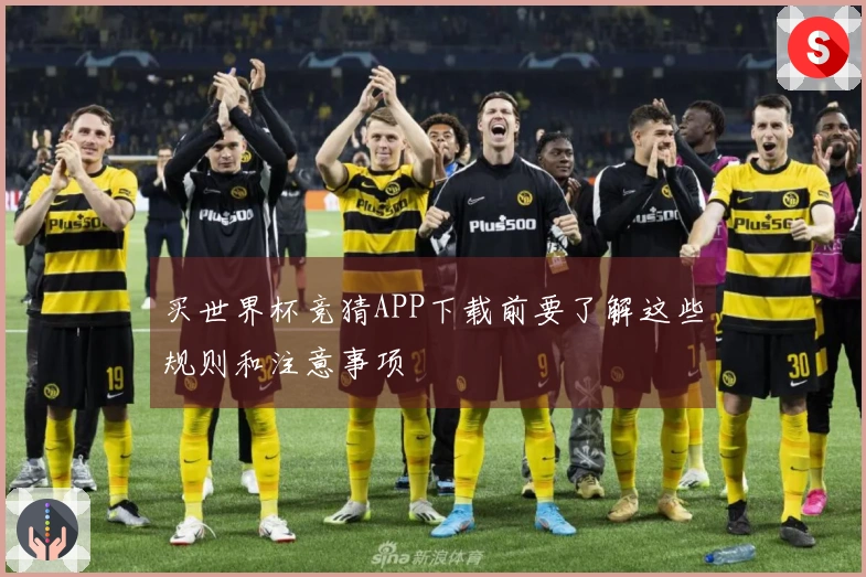 买世界杯竞猜APP下载前要了解这些规则和注意事项