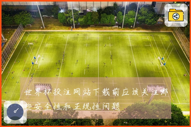 世界杯投注网站下载前应该关注哪些安全性和正规性问题