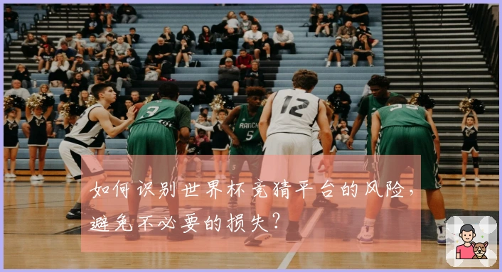 如何识别世界杯竞猜平台的风险，避免不必要的损失？