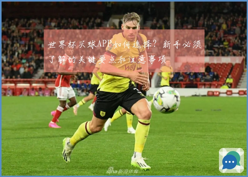 世界杯买球APP如何选择？新手必须了解的关键要点和注意事项