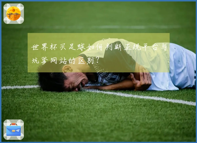 世界杯买足球如何判断正规平台与坑爹网站的区别？