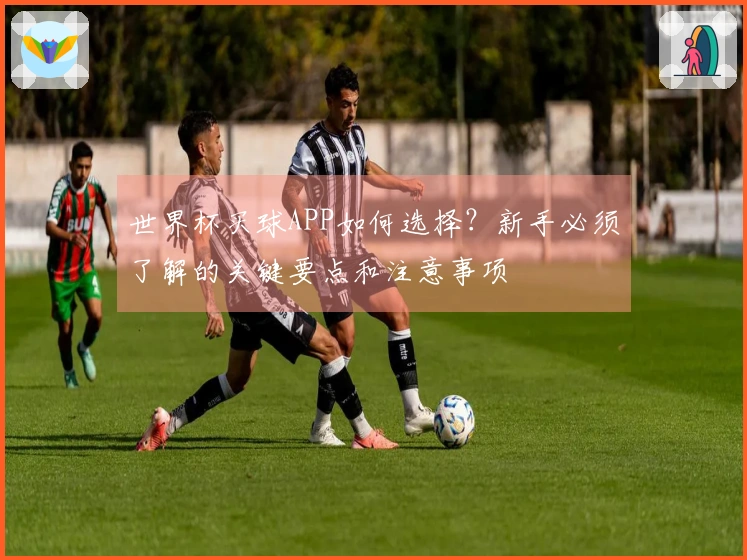 世界杯买球APP如何选择？新手必须了解的关键要点和注意事项